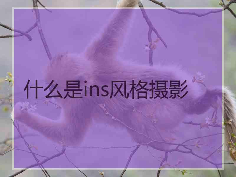 什么是ins风格摄影