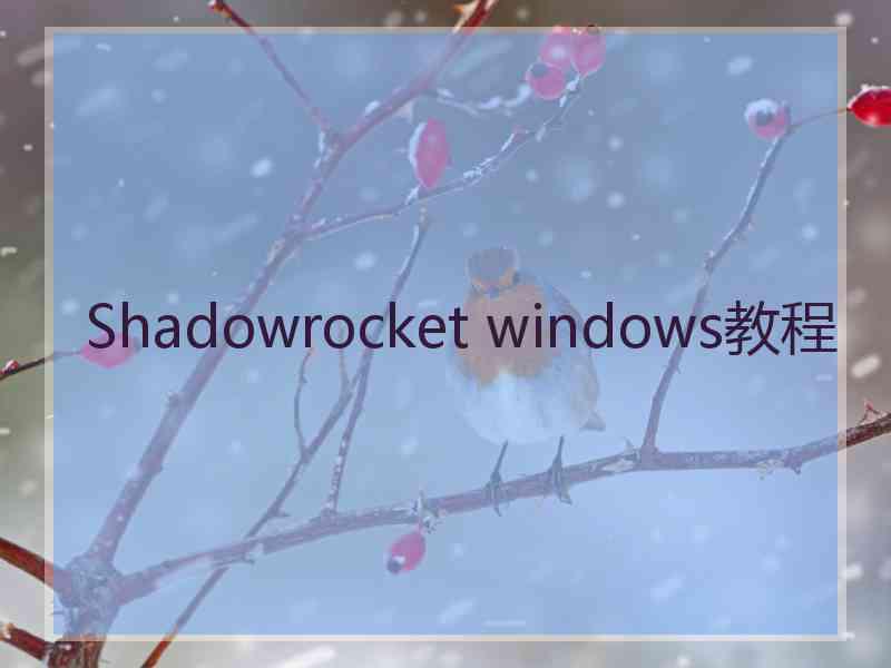 Shadowrocket windows教程