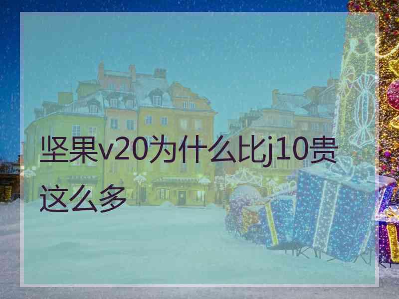 坚果v20为什么比j10贵这么多