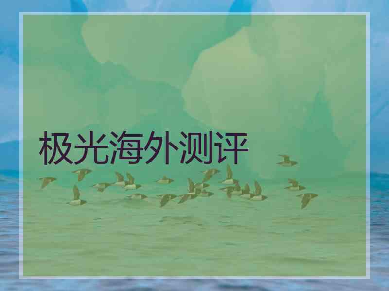 极光海外测评