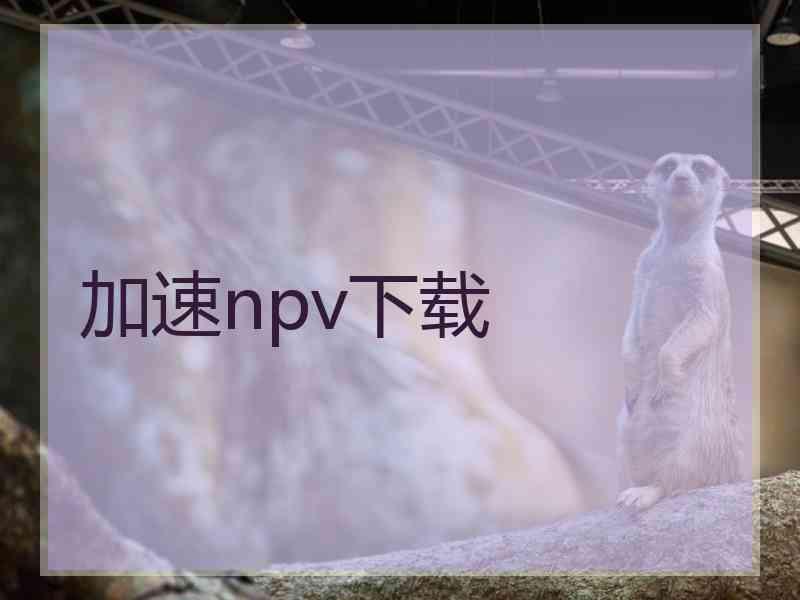 加速npv下载