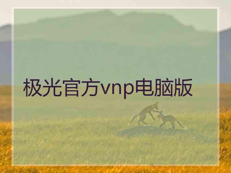 极光官方vnp电脑版