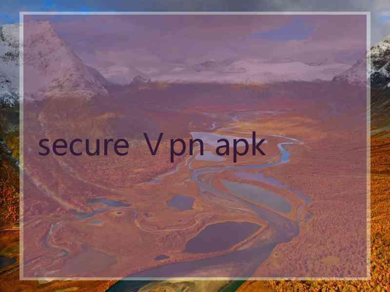 secure Ⅴpn apk