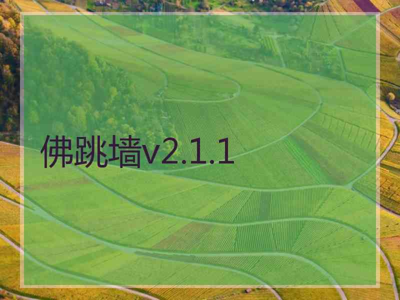 佛跳墙v2.1.1