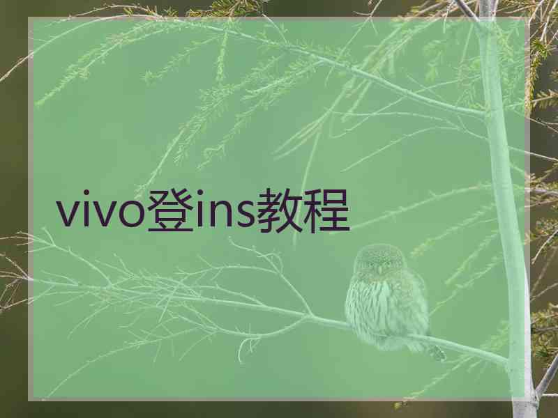 vivo登ins教程