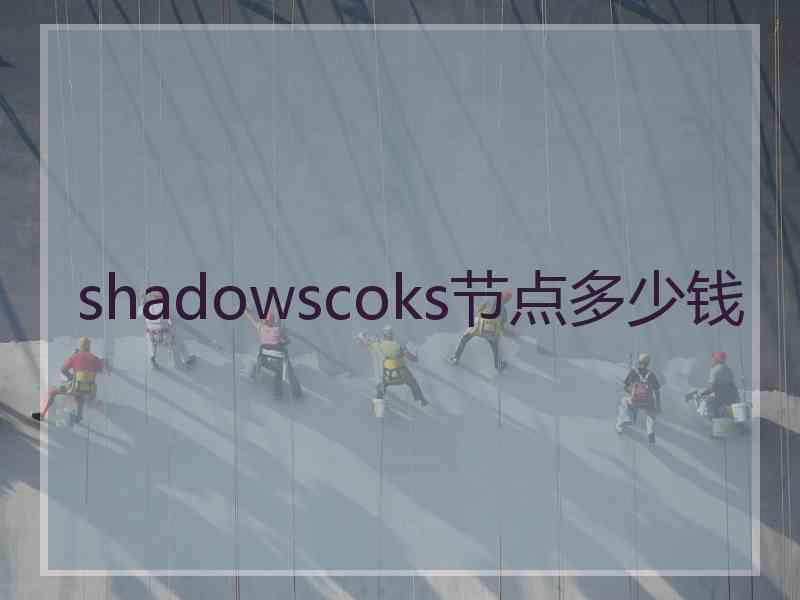 shadowscoks节点多少钱