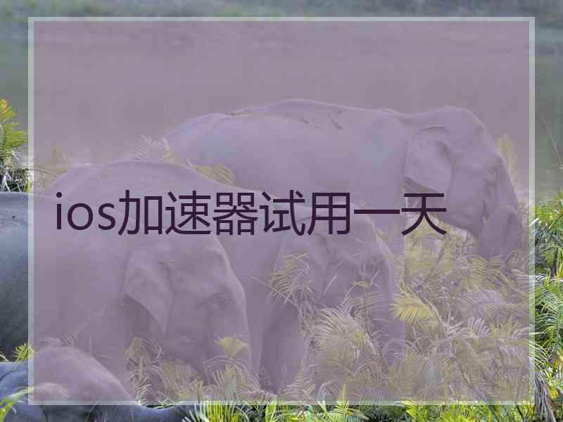 ios加速器试用一天