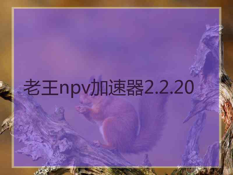 老王npv加速器2.2.20