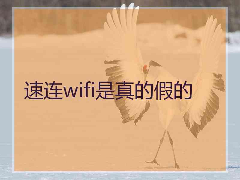 速连wifi是真的假的