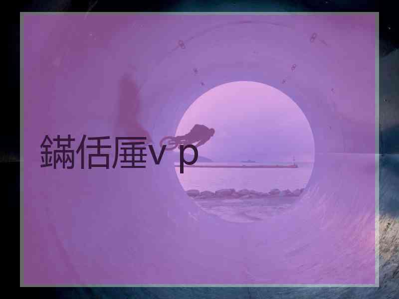 鏋佸厜v p