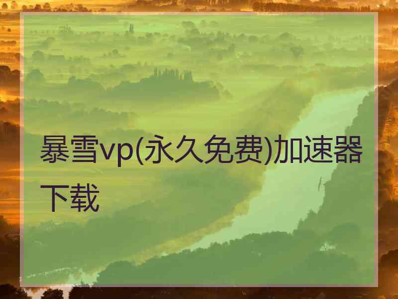 暴雪vp(永久免费)加速器下载