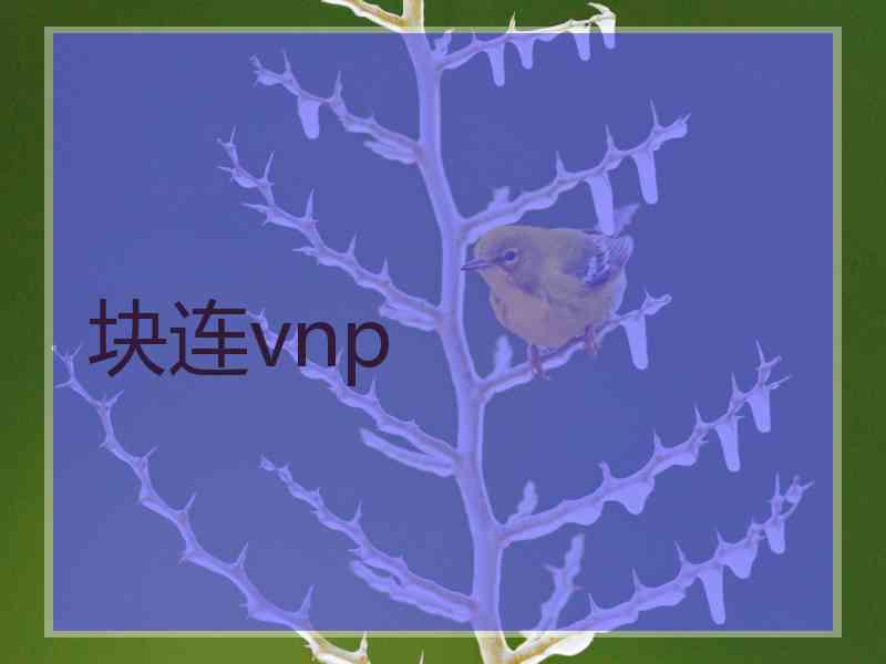 块连vnp