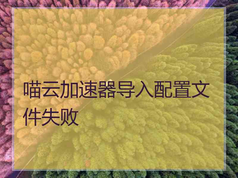 喵云加速器导入配置文件失败