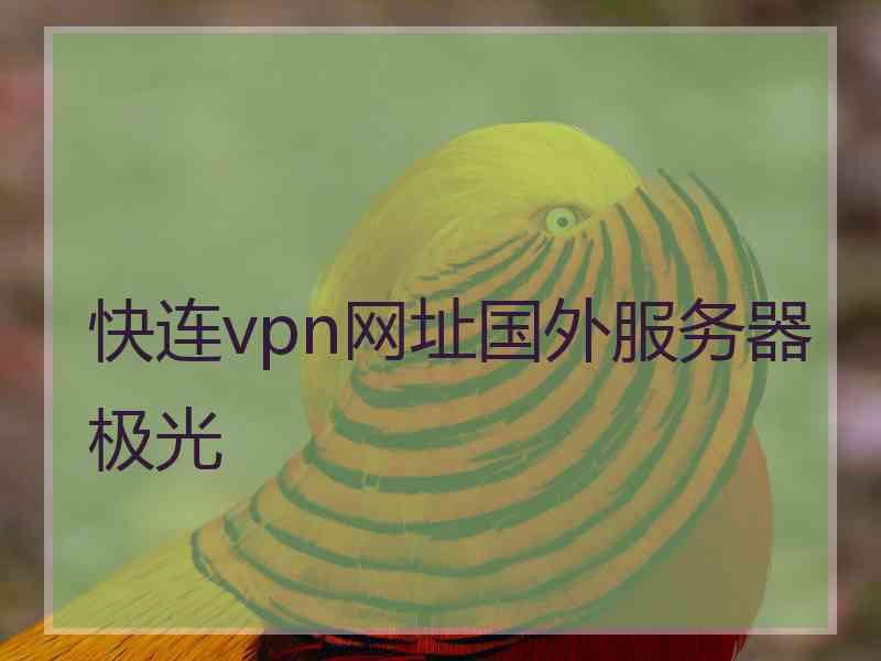 快连vpn网址国外服务器极光