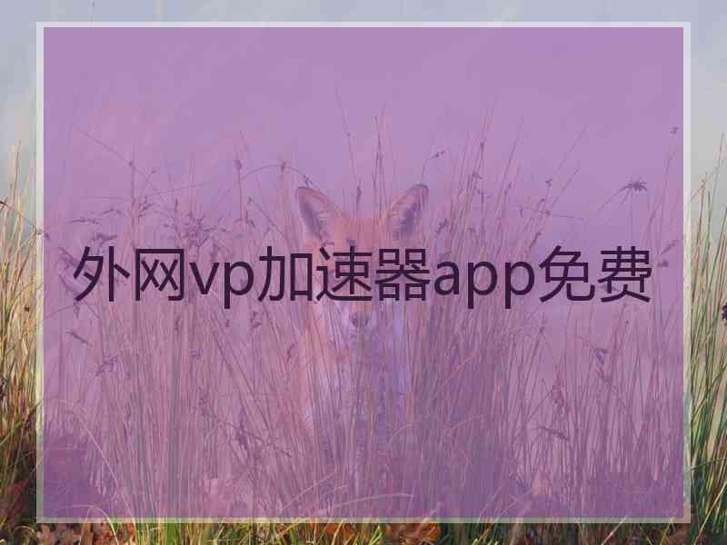 外网vp加速器app免费