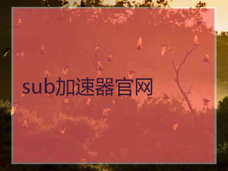 sub加速器官网