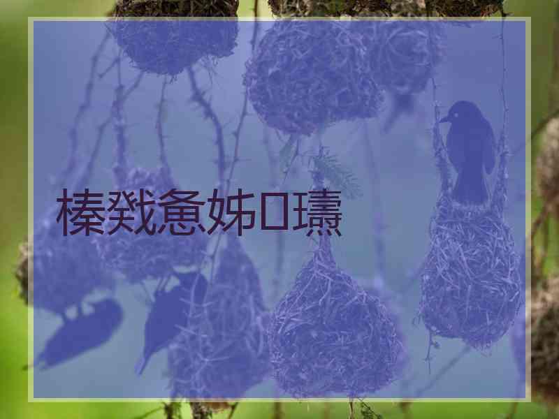 榛戣惫姊瓙