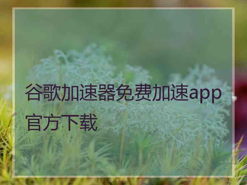 谷歌加速器免费加速app官方下载