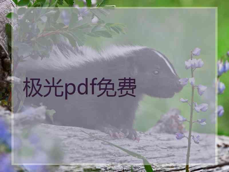 极光pdf免费