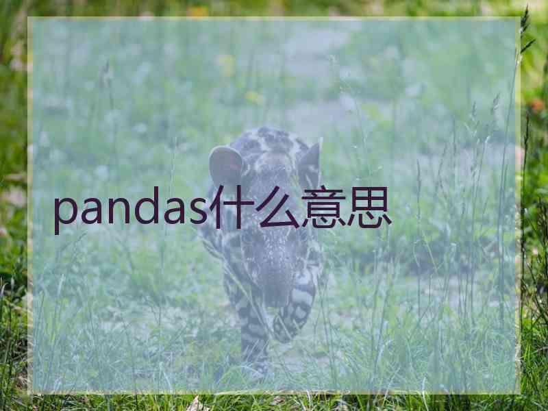 pandas什么意思