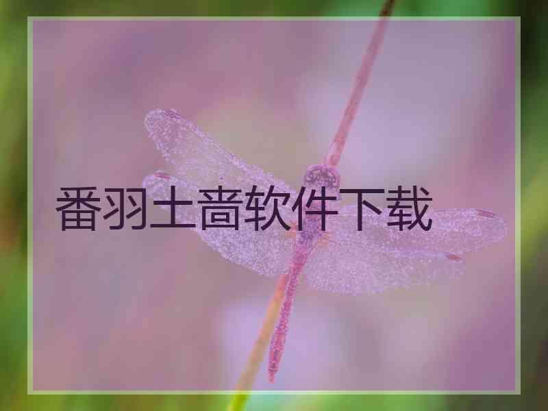 番羽土啬软件下载