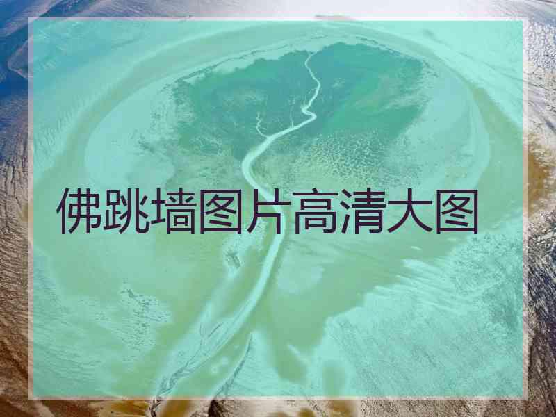 佛跳墙图片高清大图