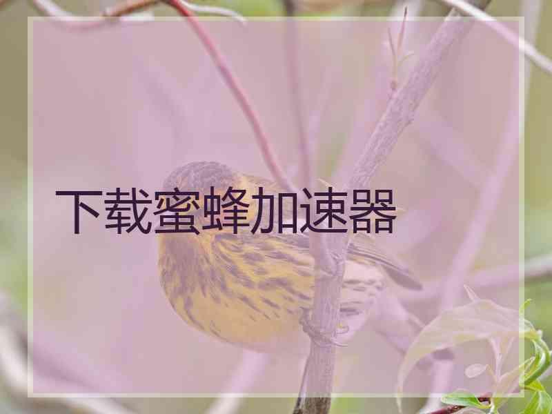 下载蜜蜂加速器