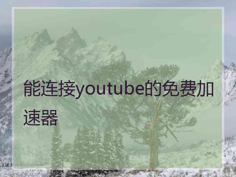 能连接youtube的免费加速器