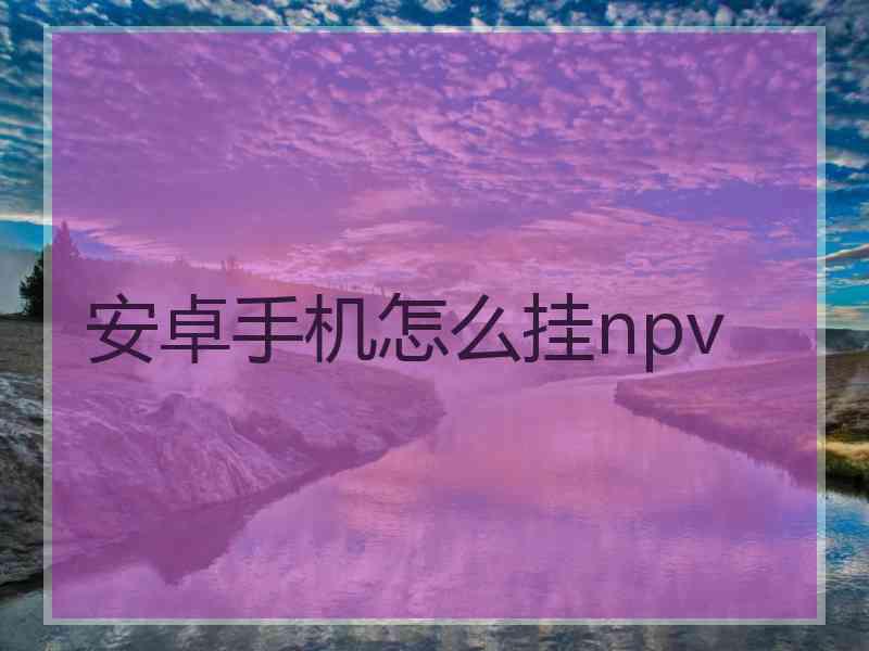 安卓手机怎么挂npv