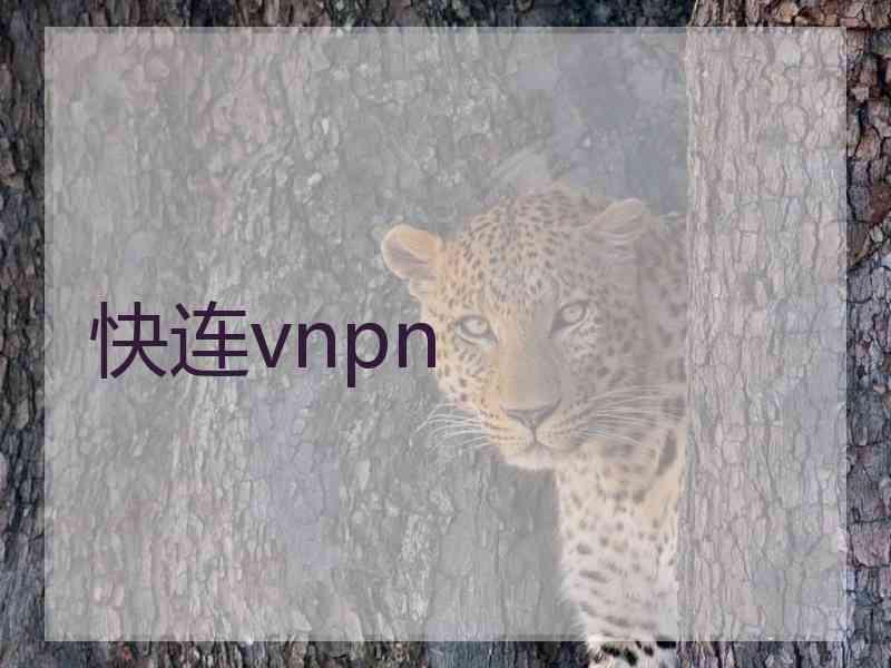 快连vnpn