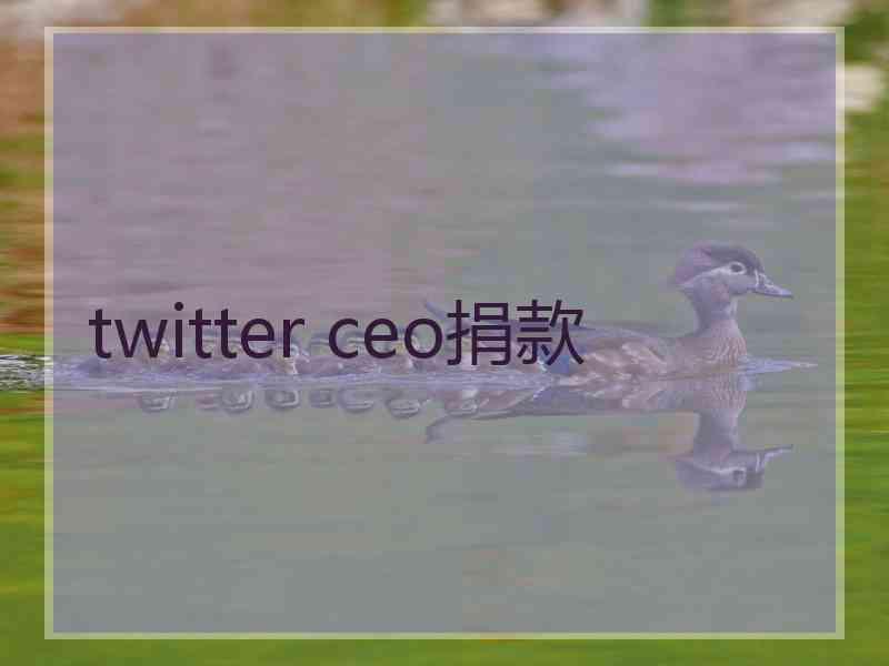 twitter ceo捐款