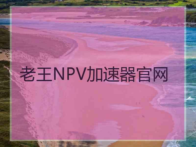 老王NPV加速器官网