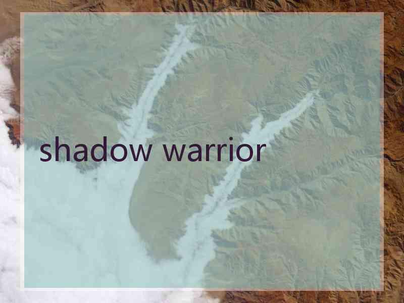 shadow warrior