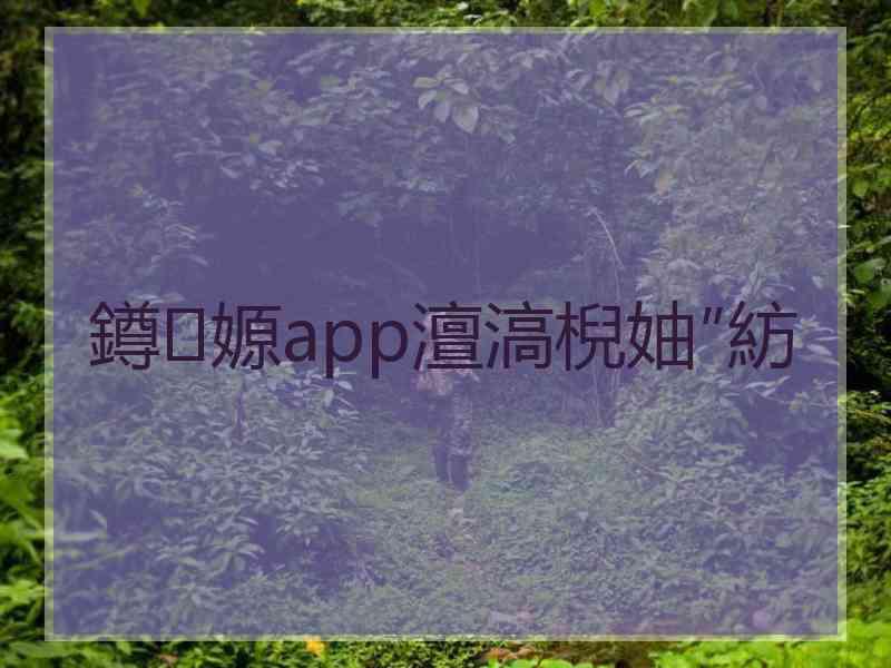 鐏嫄app澶滈棿妯″紡