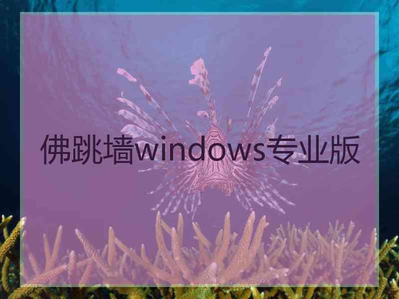 佛跳墙windows专业版