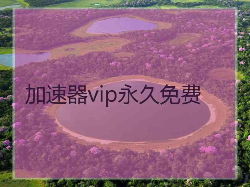 加速器vip永久免费