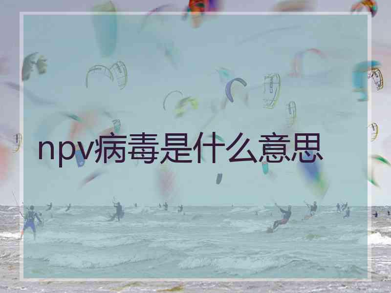 npv病毒是什么意思