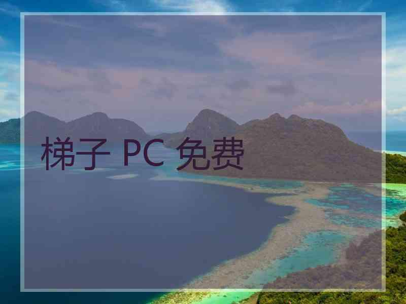 梯子 PC 免费