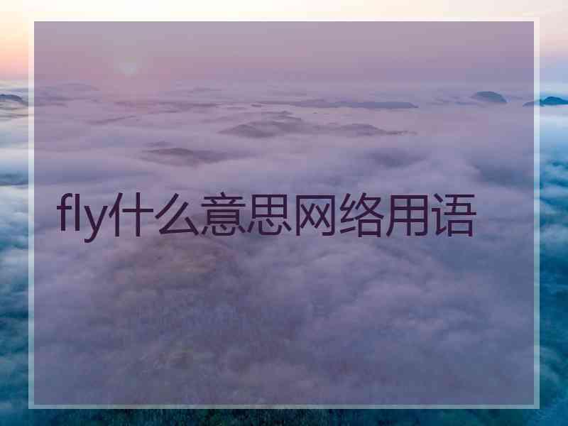 fly什么意思网络用语