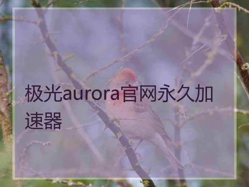 极光aurora官网永久加速器