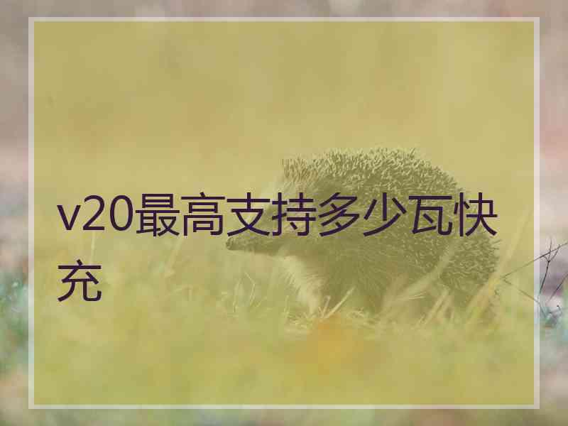 v20最高支持多少瓦快充