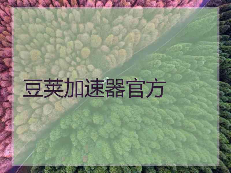 豆荚加速器官方