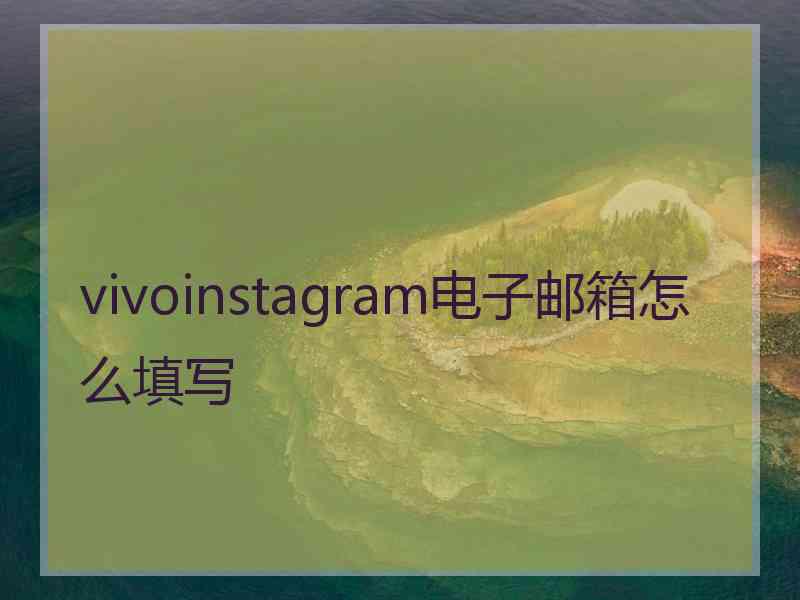 vivoinstagram电子邮箱怎么填写