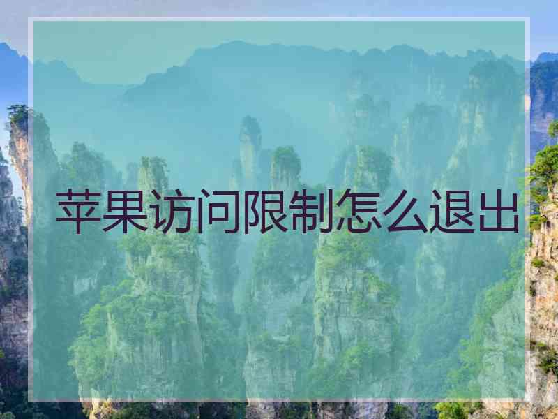 苹果访问限制怎么退出