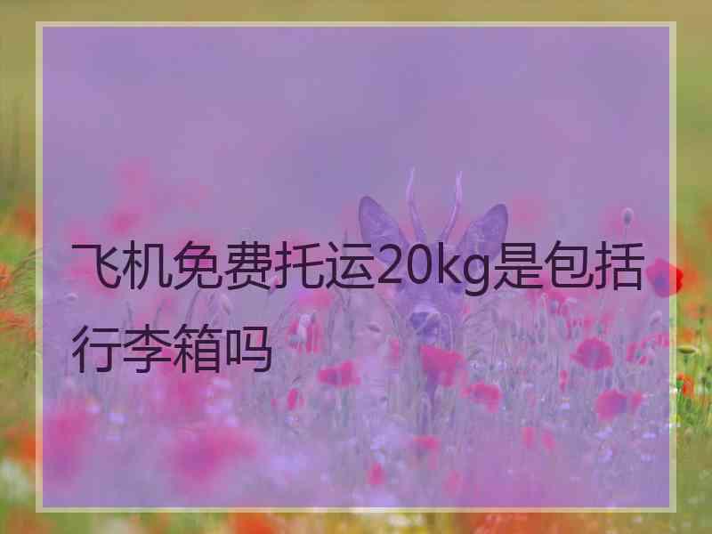 飞机免费托运20kg是包括行李箱吗