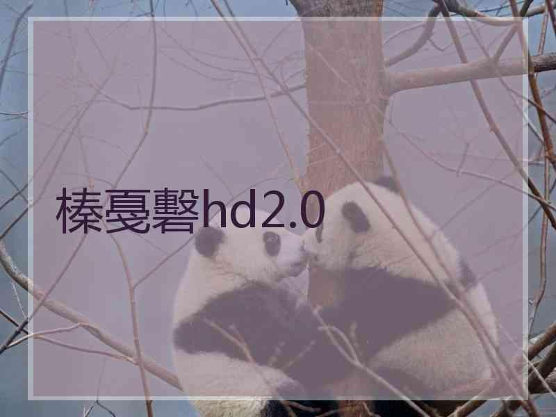 榛戞礊hd2.0