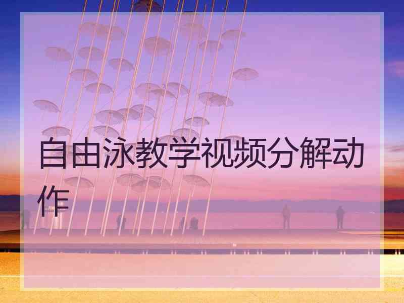 自由泳教学视频分解动作