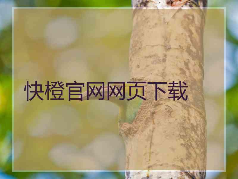 快橙官网网页下载