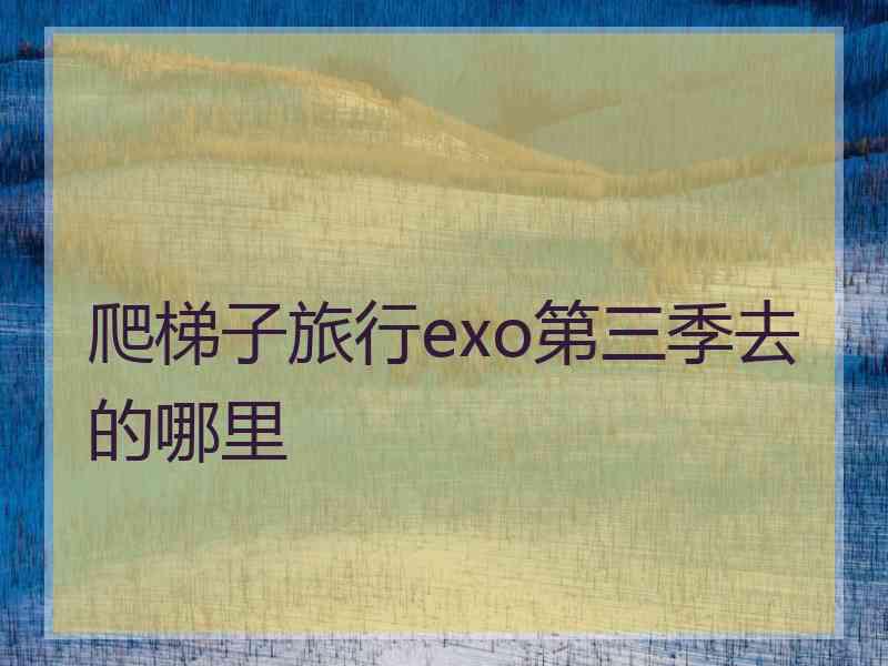 爬梯子旅行exo第三季去的哪里