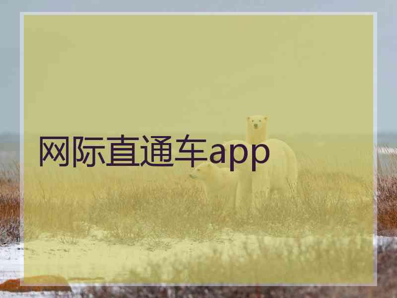 网际直通车app